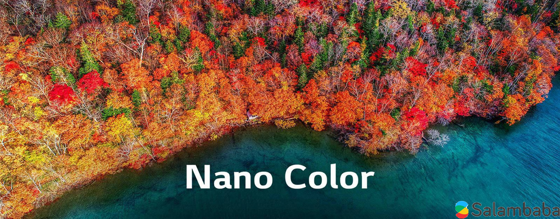 nano_1